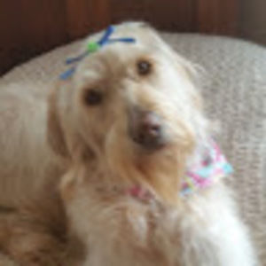 Meet your Posher, Terry